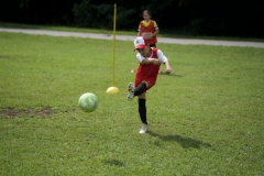DSC07650